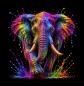Preview: Wild Und Bunt - Panelbild Elefant 70cm - BIO French Terry